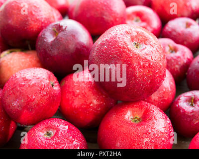 Rote Äpfel liegen auf dem Tisch. Stockfoto