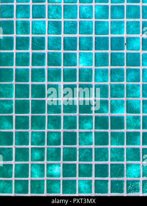 An den Wänden der Pool aus grünem Glas Fliesen. Studio Foto Stockfoto