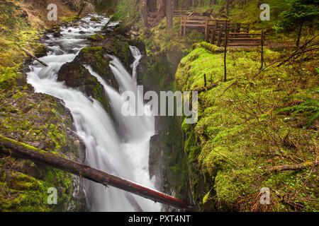 Sol Duc fällt, Olympic National Park, Washington State, USA Stockfoto