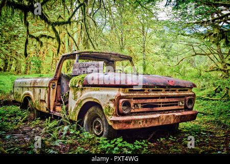 Abgebrochene Ford Pickup Truck von 1963 in der Mitte des Regenwaldes, Washington, USA verfallende Stockfoto
