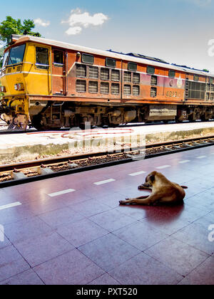 Inukai wartet auf Plattform für Zug in Bangkok, Thailand Stockfoto