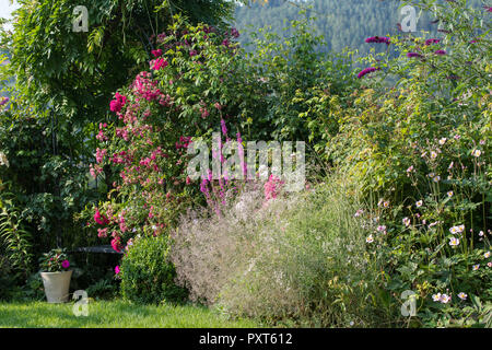 Farbe outdoor Natur Bild von einem Garten mit einer Bank, Blumen, Rosen, Anemonen und Rasen, einem Wald auf einem Hügel im Hintergrund an einem sonnigen Sommertag Stockfoto