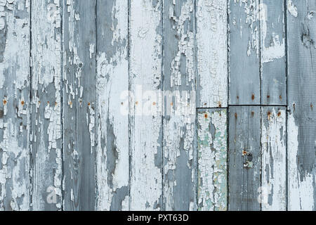 Weiß abblätternde Farbe auf Holz Wand, Russischen Bergarbeiter Siedlung Barentsburg, Isfjorden, Spitzbergen, Svalbard und Jan Mayen Stockfoto