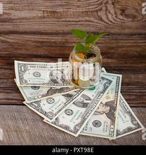 Grüne Pflanze in Glas Glas mit Loose Change (Russischer Rubel) und Dollar auf dem alten Holz- Hintergrund. Getonten Bild Stockfoto