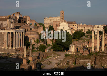 Blick auf das Forum Romanum am Abend mit vielen der berühmten antiken römischen Gebäuden, darunter das Kolosseum (Colosseo) und die alten Tempel. Stockfoto