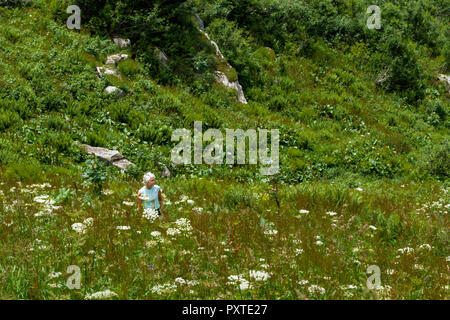 Argentière, Frankreich - Juli 5, 2016: eine blonde Frau mit kurzen unordentlichen Haar in kurzen Ärmeln in einer grünen und üppigen alpinen Wiese im Sommer Stockfoto