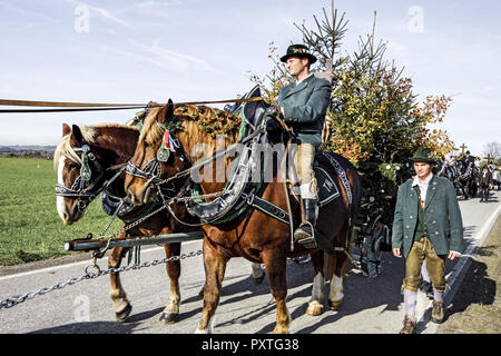 Leonhardifahrt in Benediktbeuren, Oberbayern, Deutschland, traditionelle Leonhard Parade, Leonhardifahrt in Benediktbeuern, Oberbayern, Deutschland, bava Stockfoto