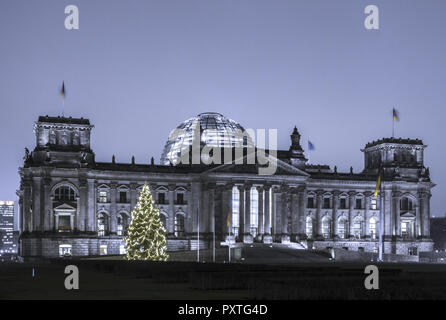 Weihnachtsbaum vor dem Reichstag, Berlin, Deutschland, Weihnachtsbaum vor der Reichstag, Deutschland, Reichstag, Gebäude, Deutsch, Bund, Buendnis-gruene Stockfoto