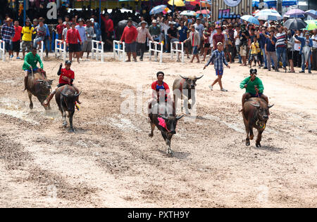 Chonburi, Thailand. 23 Okt, 2018. Jockeys konkurrieren in Chonburi der jährliche Buffalo race Festival, das auch die Reisernte feiert. Credit: chaiwat Subprasom/Pacific Press/Alamy leben Nachrichten Stockfoto