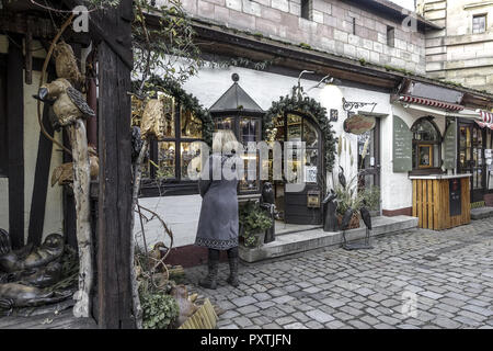 Weihnachtsmarkt im Nürnberger Handwerkerhof, Nürnberg, Mittelfranken, Bayern, Deutschland, Europa, Weihnachtsmarkt am Handwerkerhof in Nürnberg, Mitte Stockfoto