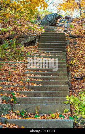 Alten, verlassenen und Treppe mit gefallenen Laub im Herbst Park verstreut Stockfoto