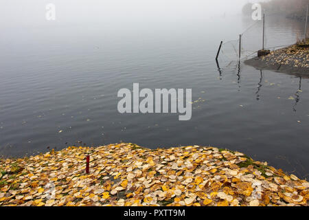 Foggy Lakeshore, Lappeenranta Finnland Stockfoto