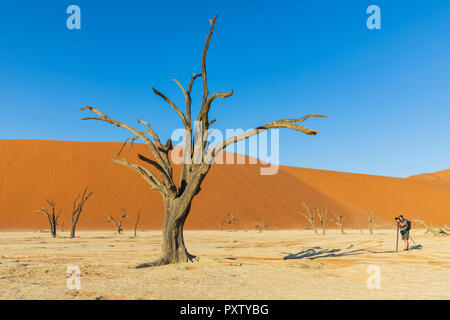 Afrika, Namibia, Namib, Naukluft National Park, Stockfoto