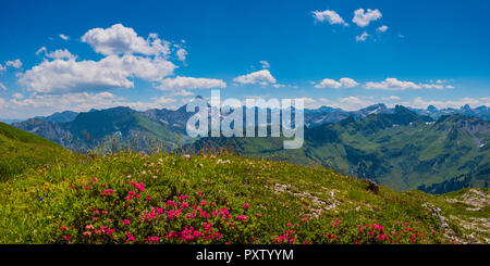 Deutschland, Bayern, Ansicht von am Nebelhorn Koblat zum hochvogel Berg Stockfoto