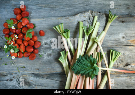 Rhabarber und Erdbeeren auf Holz Stockfoto