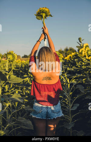 Junge Frau, die in einem Feld Anheben einer Sonnenblume Stockfoto