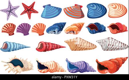 Verschiedene Arten von Muscheln auf weißem Hintergrund Abbildung Stock Vektor