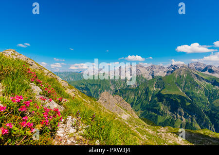 Deutschland, Bayern, Allgäu, Allgäuer Alpen, Panoramablick auf die Allgäuer Hauptkamm aus Krumbacher Höhenweg Stockfoto