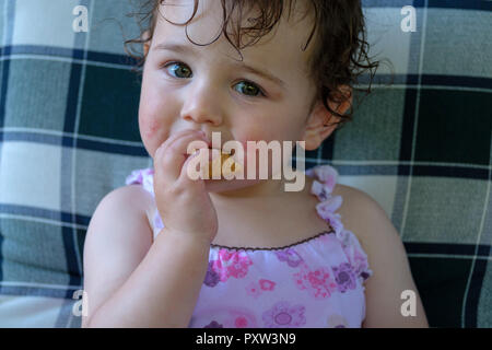 Portrait von Inhalt Baby Mädchen essen Cookie Stockfoto