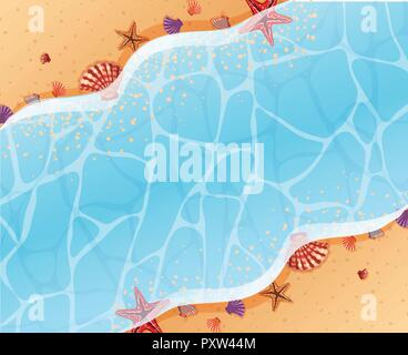 Muscheln und Seesterne am Strand Abbildung Stock Vektor