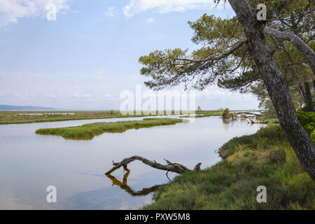 Albanien, Divjake-Karavasta Nationalpark, Lagune von Karavasta Stockfoto