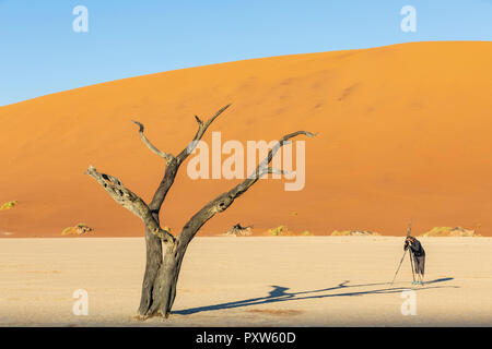 Namibia, Namib Naukluft, Namib Wüste, Dead Vlei, Touristen fotografieren tote Akazie auf Lehm pan Stockfoto