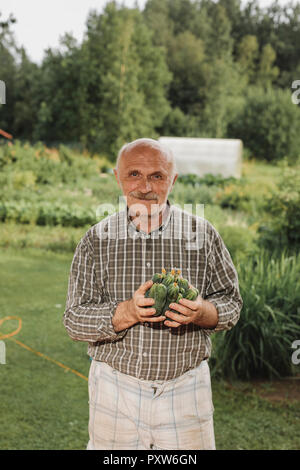 Portrait von Inhalten älterer Mann mit Handvoll Gurken in seinem Garten Stockfoto