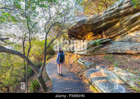 Eine Frau, die zu Fuß entlang der Eremitage Vorland Track in Nielsen Park. Sydney Harbour National Park, Australien Stockfoto