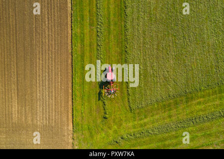 Red Tractor schwadlegen Heu, von oben nach unten Luftbild, Landwirtschaft und den ökologischen Landbau Stockfoto
