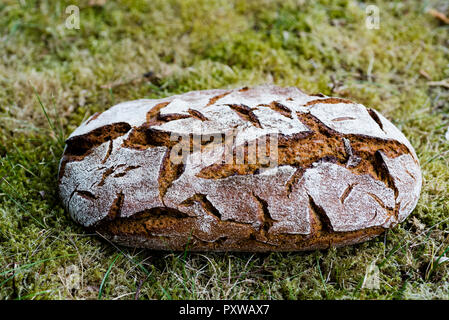 Laib Brot auf Gras Stockfoto