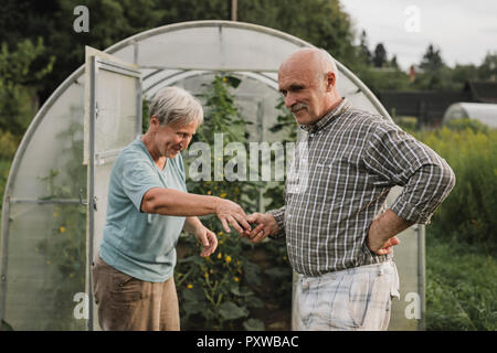 Lächelnd senior Paar vor Green House Stockfoto