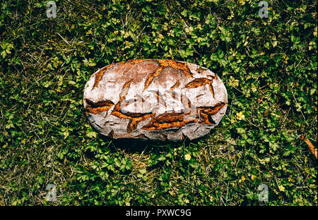 Laib Brot auf Gras Stockfoto