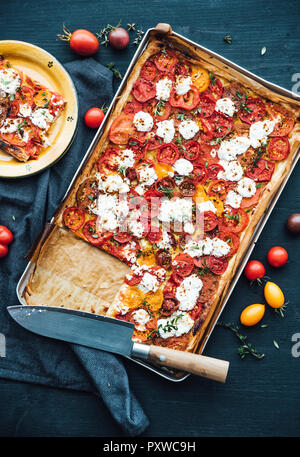 Tomatentarte mit Ziegenkäse und Thymian auf Senf Stockfoto