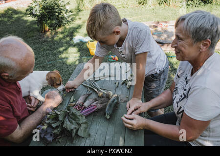 Großeltern im Garten mit Enkel und Hund Stockfoto