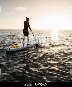 Junge Frau Stand Up Paddle Surfing bei Sonnenuntergang Stockfoto