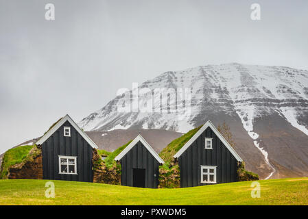 Island, Holar, Torf Häuser Stockfoto