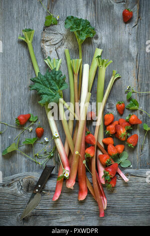 Rhabarber und Erdbeeren auf Holz Stockfoto