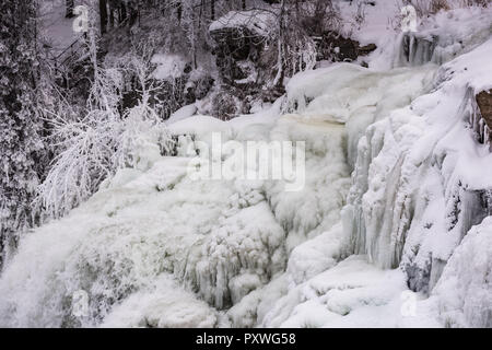 Der Chittenango Falls State Park ist ein 193 Hektar großer State Park in Madison County, New York, östlich des Cazenovia Lake. Stockfoto