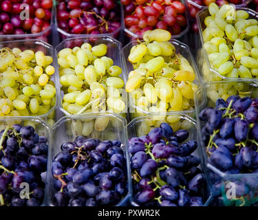 Rebsorten. Drei Tafeltraubensorten in Kunststoff Dispenser auf der Anzeige. Nahaufnahme. Stock Bild. Stockfoto
