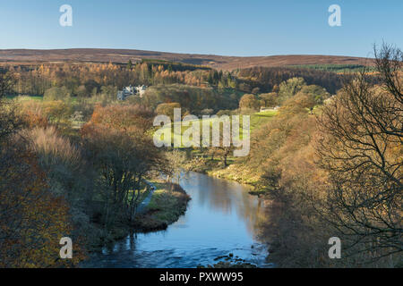 Sonnige Herbst hohe Blick über Scenic River Wharfe, stromaufwärts auf der Suche nach Barden Tower Ruinen & blauer Himmel - Bolton Abbey Estate, Yorkshire Dales, England, Großbritannien Stockfoto