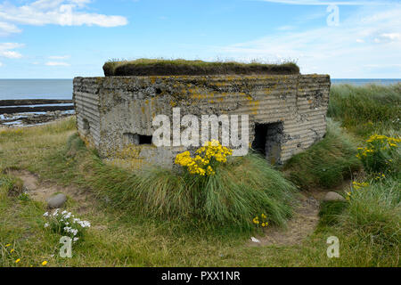 Ein Zweiter Weltkrieg Bunker am Strand von Embleton. Stockfoto