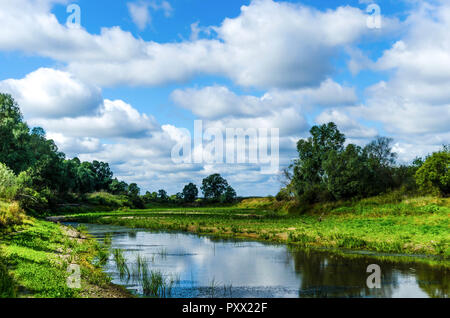 Malerische Landschaft eingehüllt in Nebel mit einem Fluss. Belarussische Polesien. Pripyat Stockfoto