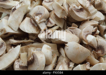 Eine enge Sicht auf ein Bündel von geschnittenen Agaricus bisporus, auch als champignon Pilze bekannt Stockfoto