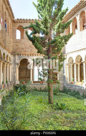 Der Kreuzgang mit romanischen Bögen, einen Tannenbaum und mittelalterlichen Fresken an einem sonnigen Tag in der Colegiata de Santa Maria la Mayor von Alquezar, Spanien. Stockfoto