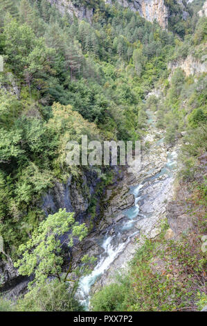 Die Wasserfälle und Stromschnellen in den Rio Bellos Canyon auf der Wald bedeckt Rocky Mountains in der Cañon de Añisclo Tal, in der Region Aragón, Spanien Stockfoto