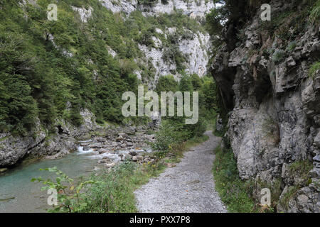 Ein Weg neben der Bellos Fluss in der Añisclo Canyon, durch einen grünen Wald umgeben, in die Pyrenäen in der Region Aragón, Spanien Stockfoto