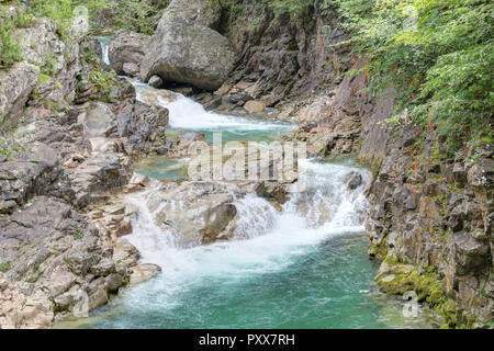 Die Wasserfälle und Stromschnellen in den Rio Bellos Canyon auf der Wald bedeckt Rocky Mountains in der Cañon de Añisclo Tal, in der Region Aragón, Spanien Stockfoto