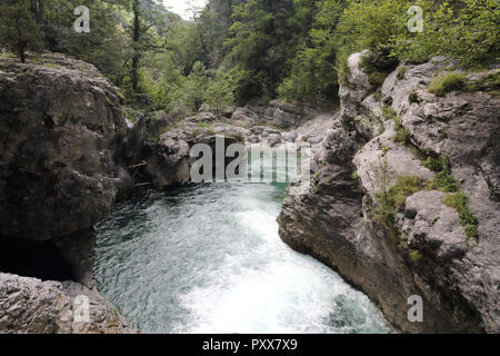 Die Wasserfälle und Stromschnellen in den Rio Bellos Canyon auf der Wald bedeckt Rocky Mountains in der Cañon de Añisclo Tal, in der Region Aragón, Spanien Stockfoto