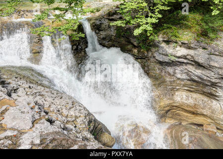 Die Wasserfälle und Stromschnellen in den Rio Bellos Canyon auf der Wald bedeckt Rocky Mountains in der Cañon de Añisclo Tal, in der Region Aragón, Spanien Stockfoto