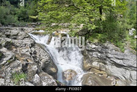 Die Wasserfälle und Stromschnellen in den Rio Bellos Canyon auf der Wald bedeckt Rocky Mountains in der Cañon de Añisclo Tal, in der Region Aragón, Spanien Stockfoto